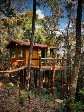 Sequoia Casa na Árvore, Vila Mágica